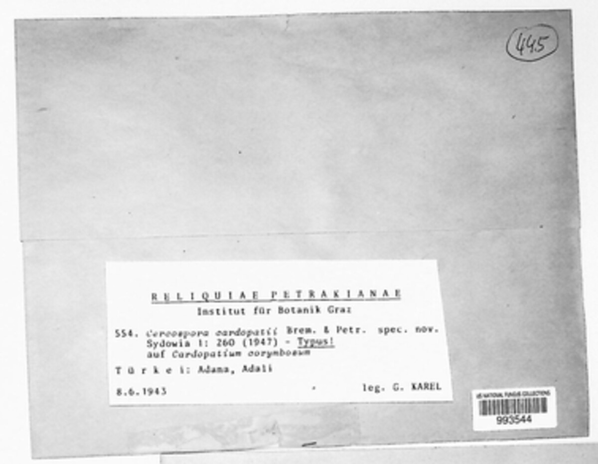 Passalora cardopatii image